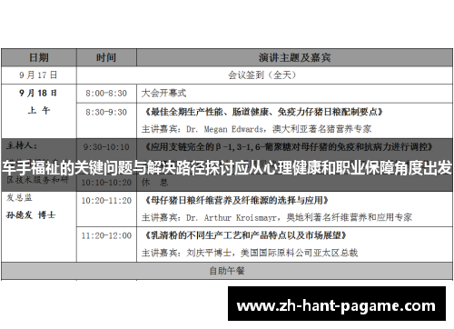 车手福祉的关键问题与解决路径探讨应从心理健康和职业保障角度出发